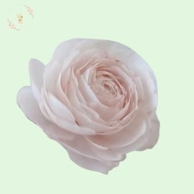 Ostya virág boglárka - 8cm  (pasztell színek)