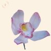 Csónak orchidea (7 cm) – kézzel készült cukorvirág tortadísz, letisztult kivitel