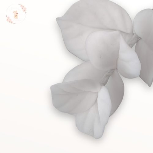 Fehér cukor eukaliptusz levelek részletfotó, finom textúrával.