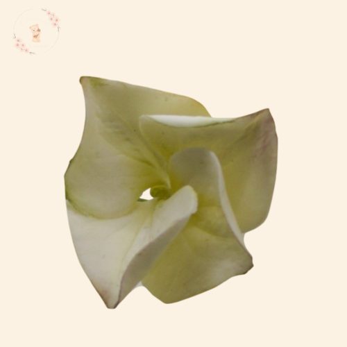 Cukor hortenzia tortadísz (4-4,5 cm) – kézzel készült, prémium minőség