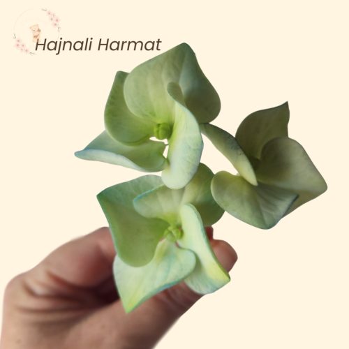 Cukor hortenzia tortadísz (4-4,5 cm) – kézzel készült, prémium minőség