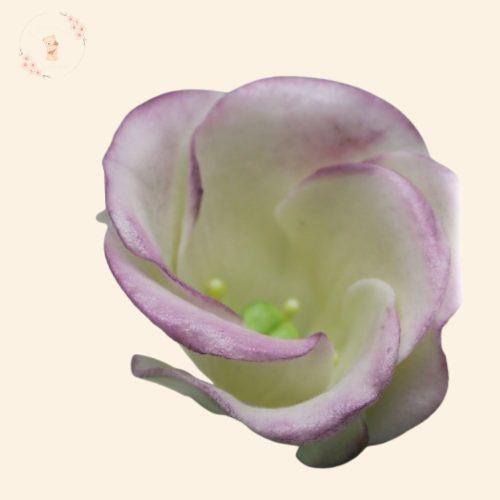 Cukor liziantusz tortadísz – kézzel készült cukorvirág (5–7 cm)