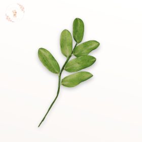 Kisebb ruszkusz ág zöld színben – kézműves cukorlevél tortadísz fehér háttérrel